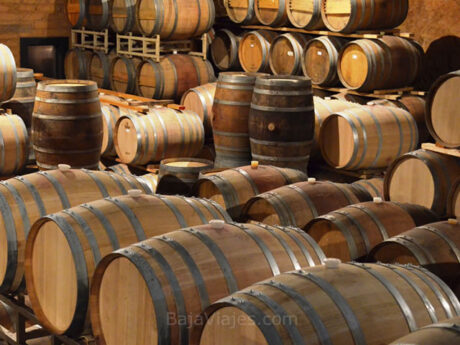 Bodega de Barricas de vino en la Vinícola Barón Balché en Valle de Guadalupe, Baja California