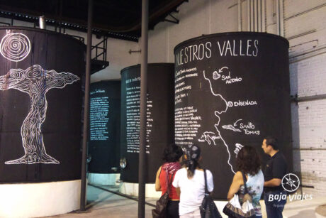 Recorrido en Cava Entre Santos de la Vinícola Bodegas Santo Tomás