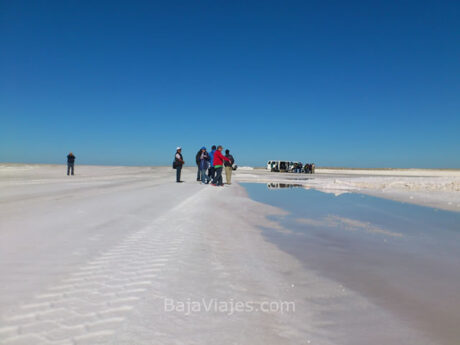 Tour a la Salinera en Guerrero Negro, Baja California Sur