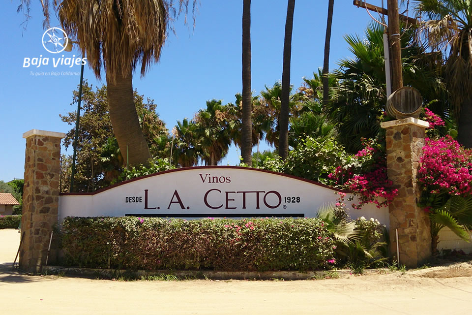 Vinícola L. A. Cetto, Valle de Guadalupe, Ensenada, Baja California