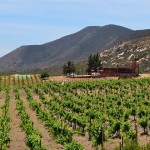 Villa Montefiori, Valle de Guadalupe, Ruta del Vino.