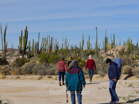 Recorrido en la Reserva del Valle de Los Cirios, Baja California.