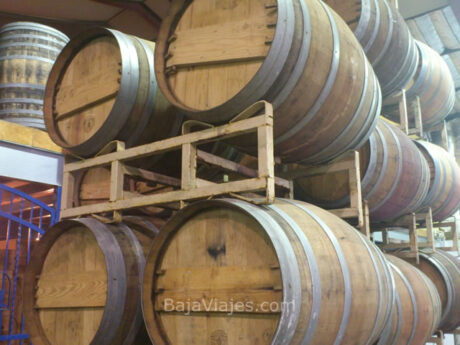 Barricas de vino en Monte Xanic, Valle de Guadalupe, Baja California.