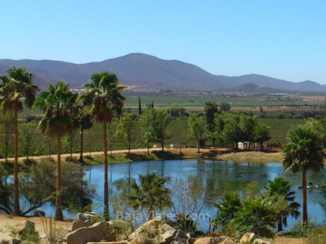 Vista del Valle de Guadalupe, desde Vinícola Monte Xanic.