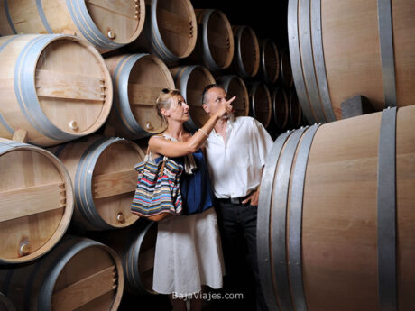 Tours a la Ruta del Vino, paseos entre barricas en Casas Vinícolas. Baja California.