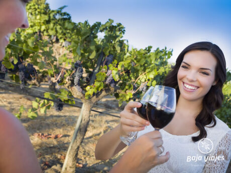 Tours a la Ruta del Vino desde Tijuana