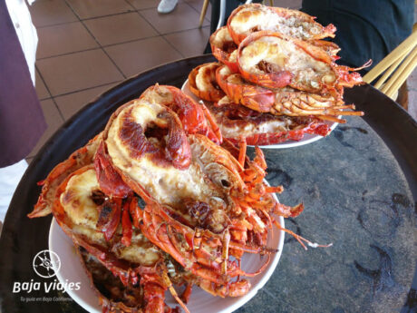 Tour de Langosta en Puerto Nuevo, Rosarito, Baja California