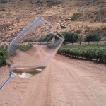 Degustación de Vinos en la Antigua Ruta del Vino, Valle de Santo Tomás, Ensenada, Baja California