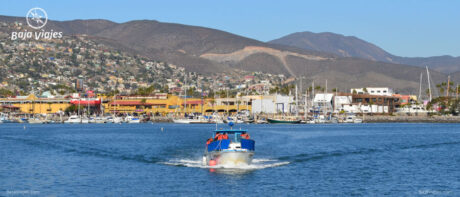 Paseo en barco desde Ensenada