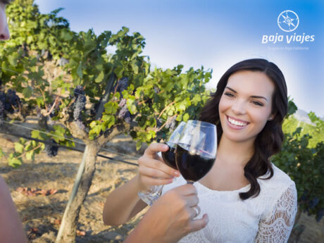 Degustación de vinos entre viñedos en la Ruta del Vino
