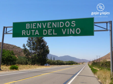 Bienvenida a la Ruta del Vino, Baja California