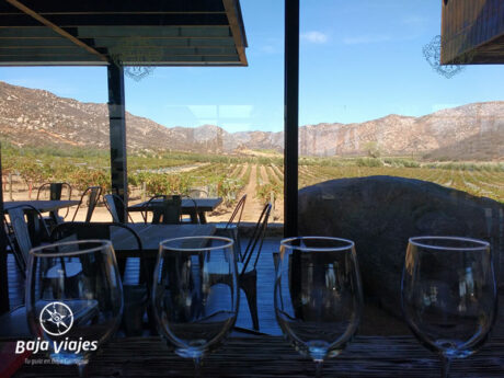 Tour Local Valle de Guadalupe - Imagen 12