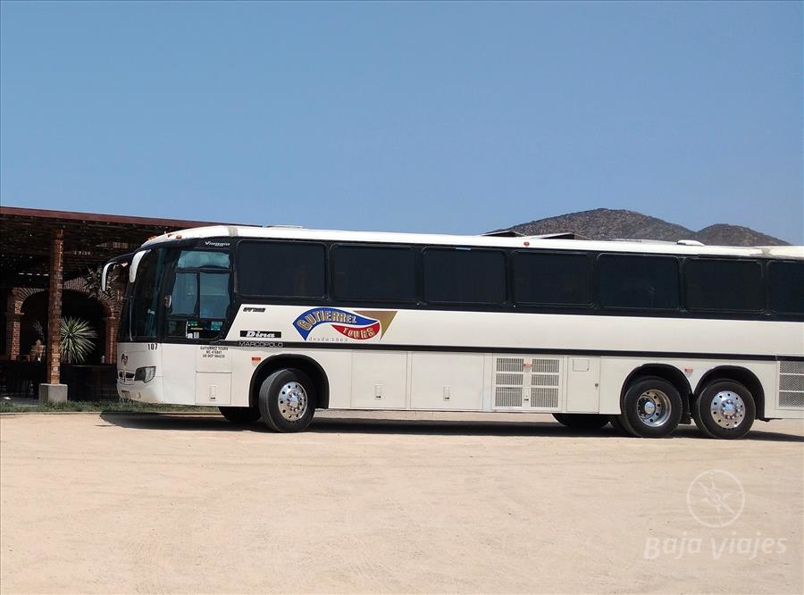 Renta de Autobús y Servicio de Transporte en Tijuana
