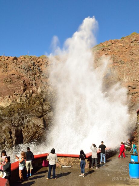 Tour a La Bufadora, Ensenada