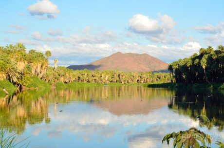 Paisajes del Oasis en San Ignacio, Baja California Sur
