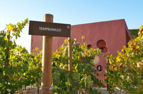 Tour Grandes Vinícolas - Imagen 4
