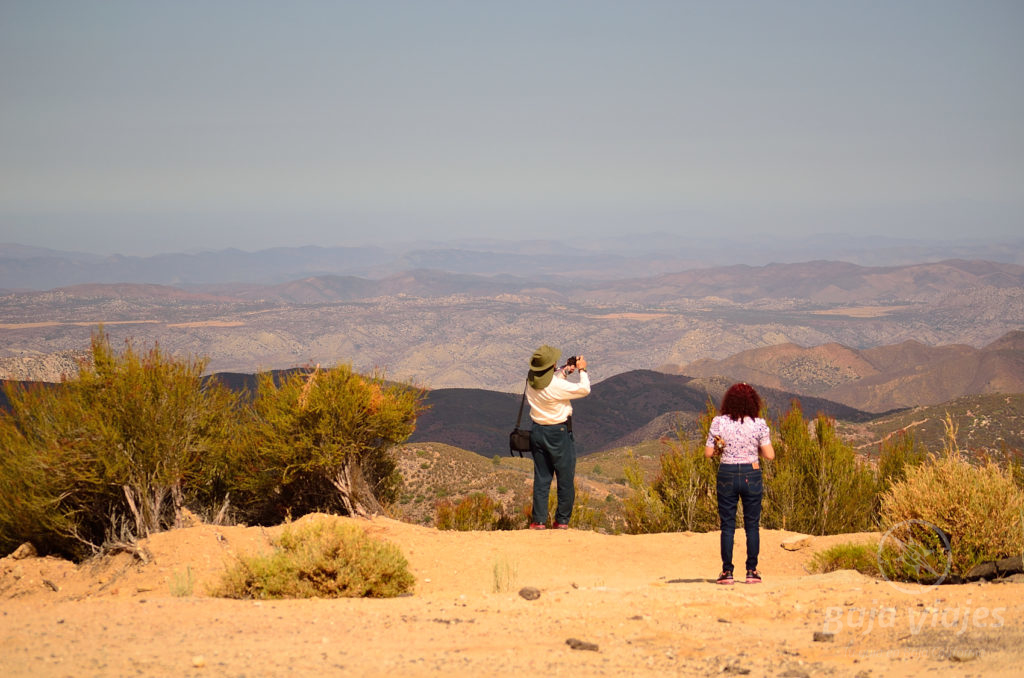 Vista Panoramica desde la Sierra de San Pedro Martir, Baja California