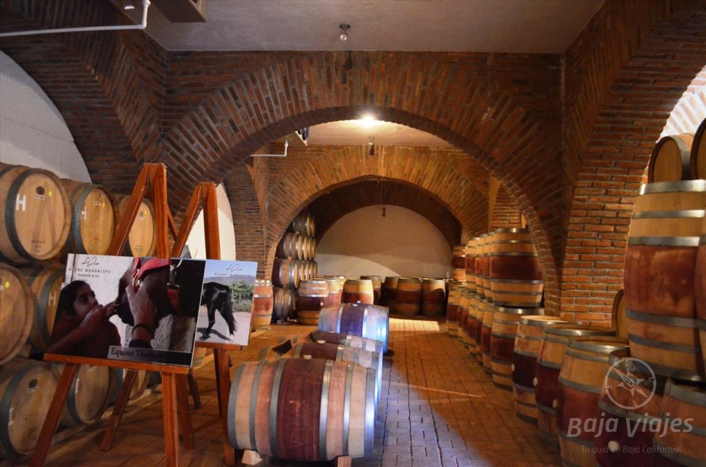 Bodega de barricas en vinicola Adobe Guadalupe Ruta del Vino.