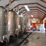 Tanques de Fermentación de Vino en Adobe Guadalupe