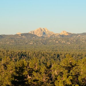 Tours a Parques Nacionales