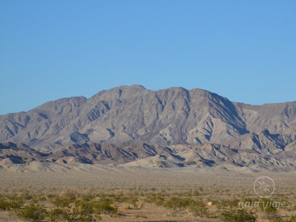 indiana tours mexicali