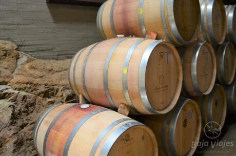 Barricas de vino en la Vinícola Clos de Tres Cantos