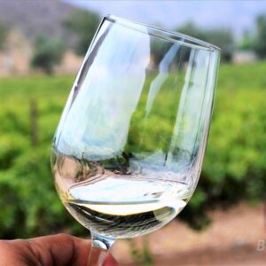 Tour a la Ruta del Vino desde Tijuana
