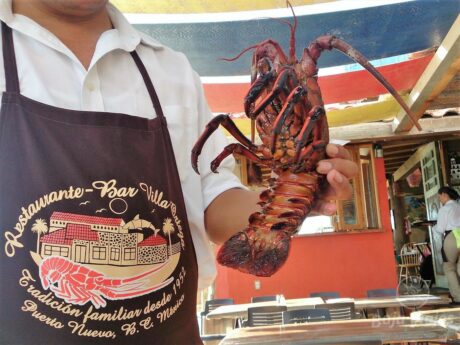 Tour de Langosta en Puerto Nuevo, Rosarito, Baja California