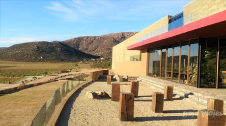 Tour a la Vinícola Monte Xanic en Valle de Guadalupe
