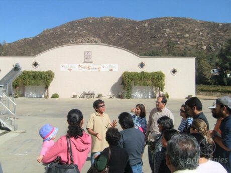 Recorrido en Tour por LA Cetto, Valle de Guadalupe