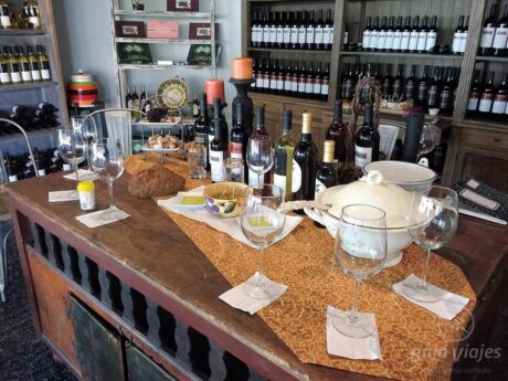 Tour Local Valle de Guadalupe - Imagen 11