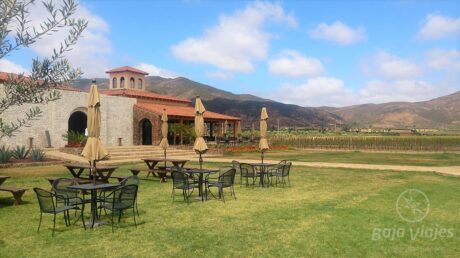Vinícola El Cielo, Valle de Guadalupe