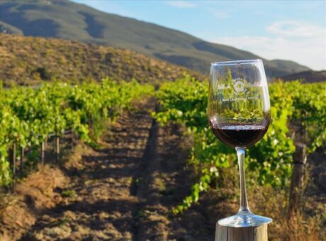 Degustación de Vinos en Casa de Doña Lupe, durante el Tour a la Ruta del Vino