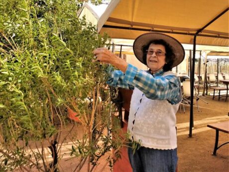 La famosa Sra. Doña Lupe siempre cuidando su jardín y saludando a sus visitantes