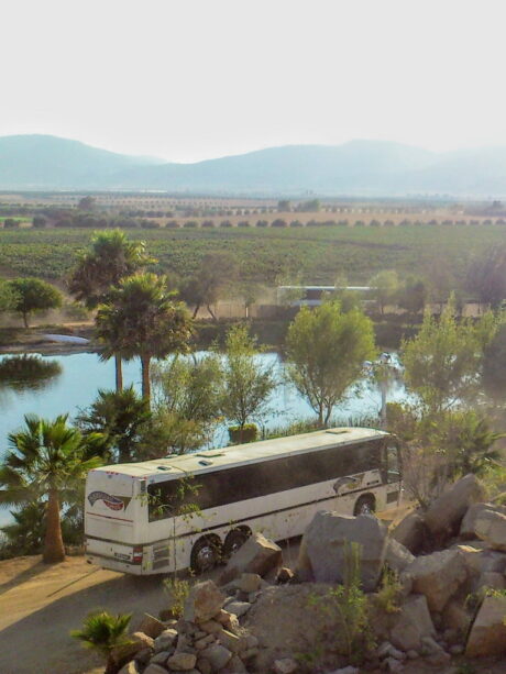 Transporte en Autobús a los Viñedos de Monte Xanic en Valle de Guadalupe