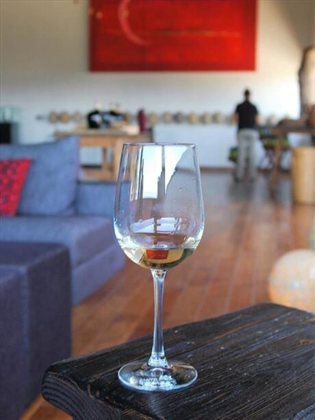 Tour a Bodegas de Santo Tomás en Valle de Guadalupe