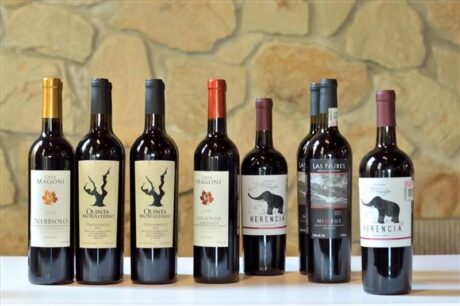 Algunos vinos de Ensenada, Baja California