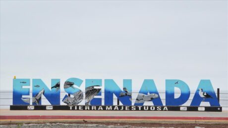Día de Tour a Ensenada