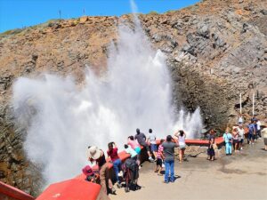 Día de Tour a La Bufadora en Ensenada