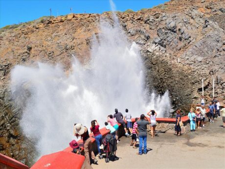 Día de Tour a La Bufadora en Ensenada