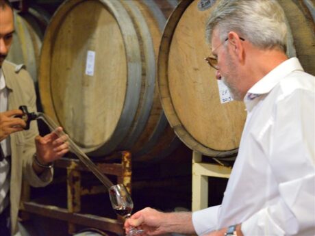 Degustación de vinos en Bodegas San Rafael, durante el Tour a Valle de Ojos Negros