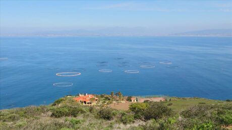Vista Panorámica durante el Tour Bufadora y Ensenada