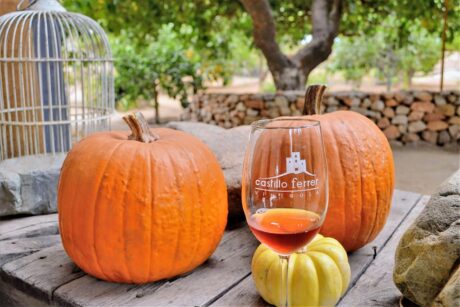 Tour a Valle de Guadalupe, Ruta del Vino