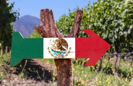 La Ruta del Vino más importante de México está en Baja California