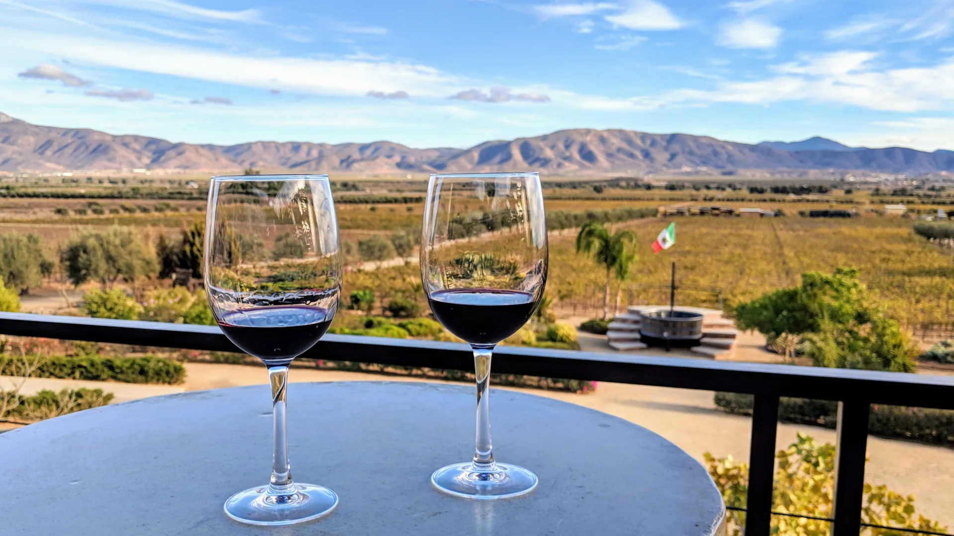 Tour con Vista panorámica de los viñedos en Valle de Guadalupe